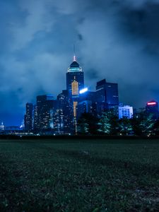 Preview wallpaper night city, city lights, skyline, grass, hong kong