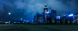 Preview wallpaper night city, city lights, skyline, grass, hong kong