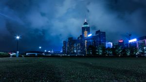 Preview wallpaper night city, city lights, skyline, grass, hong kong