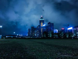 Preview wallpaper night city, city lights, skyline, grass, hong kong