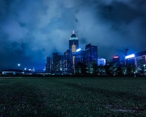 Preview wallpaper night city, city lights, skyline, grass, hong kong