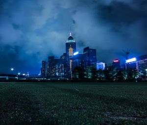 Preview wallpaper night city, city lights, skyline, grass, hong kong