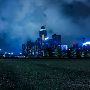 Preview wallpaper night city, city lights, skyline, grass, hong kong