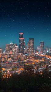 Preview wallpaper night city, city lights, starry sky, architecture, panorama