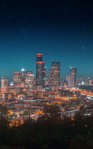 Preview wallpaper night city, city lights, starry sky, architecture, panorama