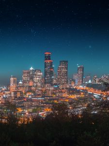 Preview wallpaper night city, city lights, starry sky, architecture, panorama