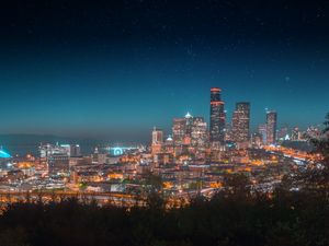 Preview wallpaper night city, city lights, starry sky, architecture, panorama