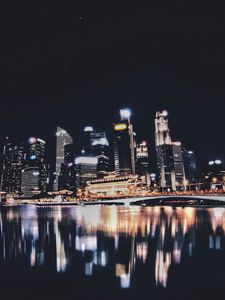 Preview wallpaper night city, panorama, city lights, singapore