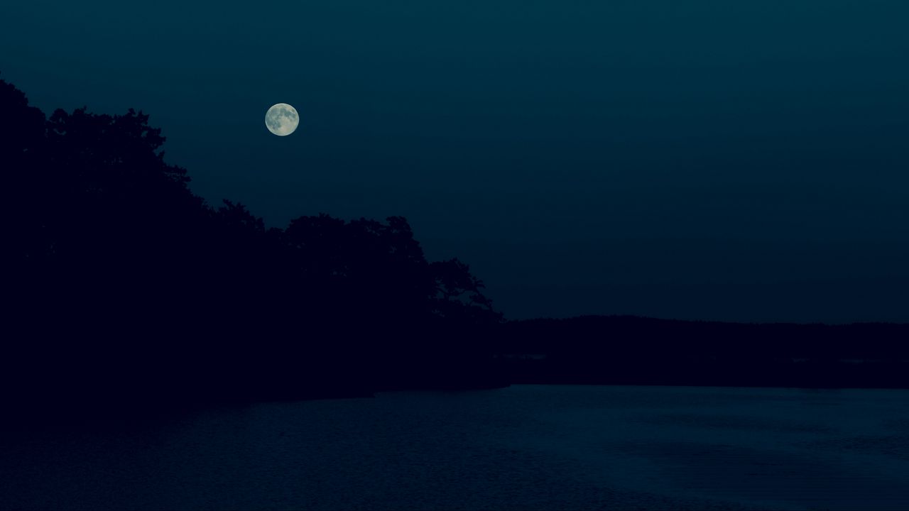 Wallpaper night, dark, moon, trees, shore