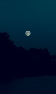 Preview wallpaper night, dark, moon, trees, shore