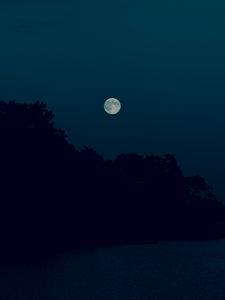 Preview wallpaper night, dark, moon, trees, shore