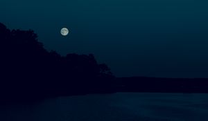 Preview wallpaper night, dark, moon, trees, shore