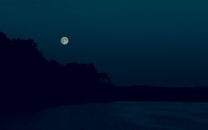 Preview wallpaper night, dark, moon, trees, shore