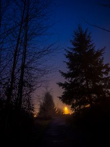 Preview wallpaper night, forest, fog, trees, sky
