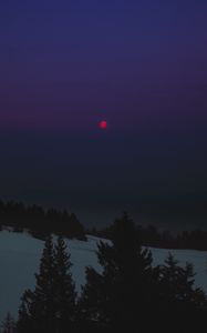 Preview wallpaper night, landscape, winter, moon, trees, dark