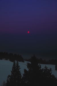 Preview wallpaper night, landscape, winter, moon, trees, dark