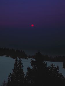 Preview wallpaper night, landscape, winter, moon, trees, dark
