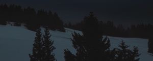 Preview wallpaper night, landscape, winter, moon, trees, dark