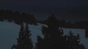 Preview wallpaper night, landscape, winter, moon, trees, dark