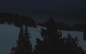 Preview wallpaper night, landscape, winter, moon, trees, dark