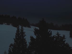 Preview wallpaper night, landscape, winter, moon, trees, dark