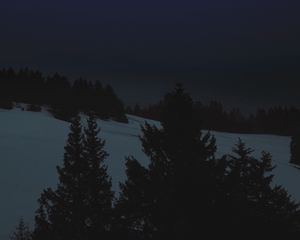 Preview wallpaper night, landscape, winter, moon, trees, dark