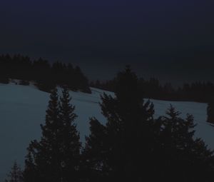 Preview wallpaper night, landscape, winter, moon, trees, dark