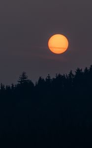 Preview wallpaper night, moon, forest, dark, landscape