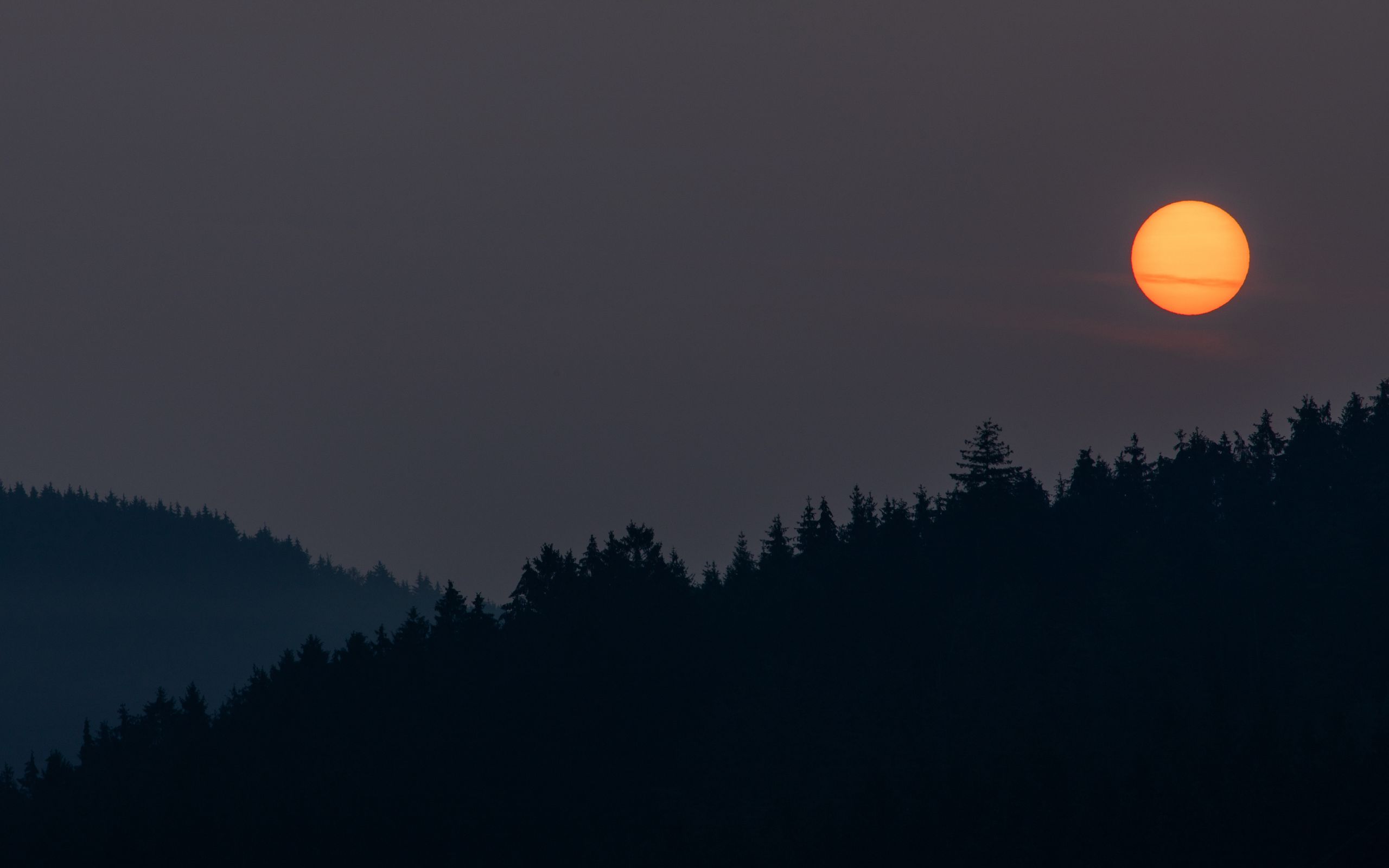 2560x1600 Wallpaper night, moon, forest, dark, landscape