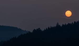 Preview wallpaper night, moon, forest, dark, landscape