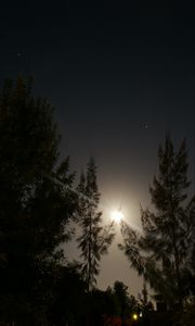 Preview wallpaper night, moon, glow, bright, rays, trees