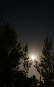 Preview wallpaper night, moon, glow, bright, rays, trees