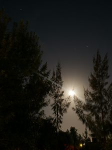 Preview wallpaper night, moon, glow, bright, rays, trees
