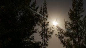 Preview wallpaper night, moon, glow, bright, rays, trees