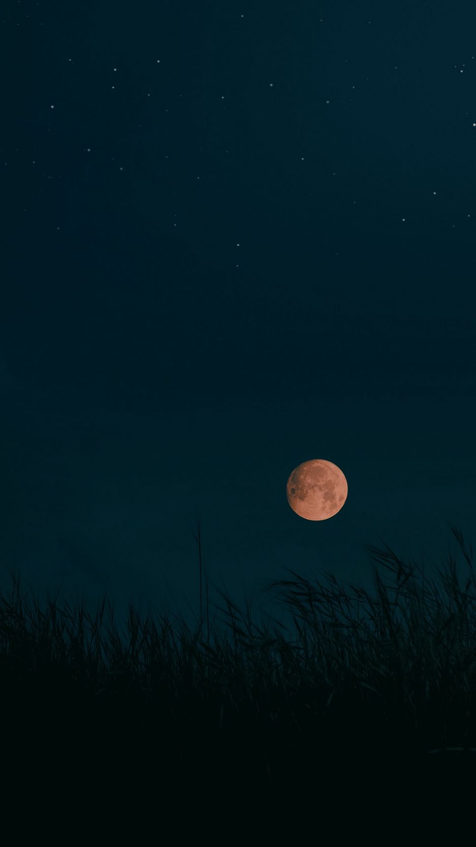 Download wallpaper 938x1668 night, moon, grass, dark, landscape iphone ...