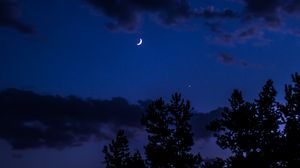 Preview wallpaper night, moon, sky, clouds, trees