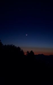 Preview wallpaper night, moon, trees, outlines, dark, darkness