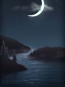 Preview wallpaper night, moon, water, forest, art