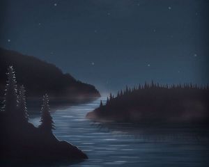 Preview wallpaper night, moon, water, forest, art