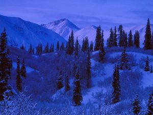 Preview wallpaper night, mountains, slopes, trees