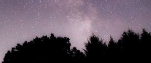 Preview wallpaper night, nebula, stars, trees, sky