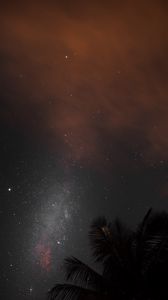 Preview wallpaper night, palm, nebula, starry sky, stars