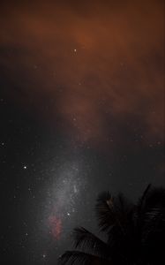 Preview wallpaper night, palm, nebula, starry sky, stars