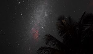 Preview wallpaper night, palm, nebula, starry sky, stars