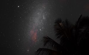 Preview wallpaper night, palm, nebula, starry sky, stars