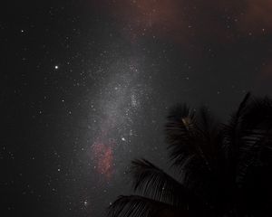 Preview wallpaper night, palm, nebula, starry sky, stars