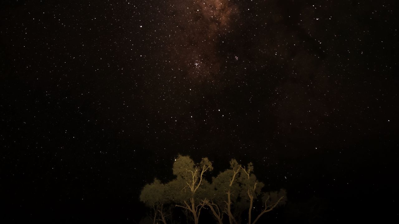 Wallpaper night, sky, stars, milky way, trees, dark