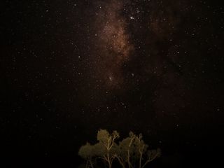 320x240 Wallpaper night, sky, stars, milky way, trees, dark