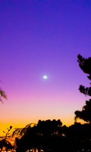 Preview wallpaper night, sky, stars, trees, dark