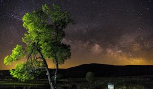 Preview wallpaper night, sky, stars, tree